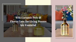 Why Ceramic Pots and Flower Vase for Living Rooms Are Essential 