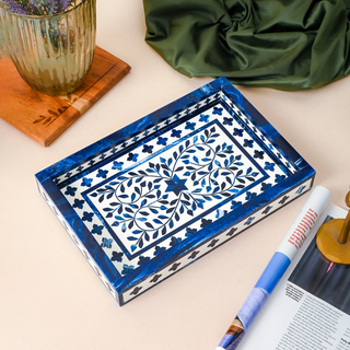 Trays & Boxes