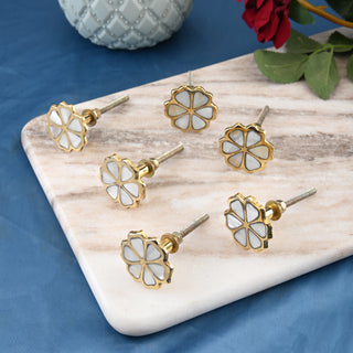 Eva Brass Knobs | Mother of Pearl (Set of 6)