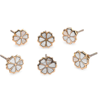 Eva Brass Knobs | Mother of Pearl (Set of 6)