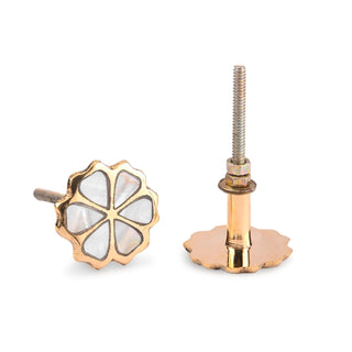 Eva Brass Knobs | Mother of Pearl (Set of 6)