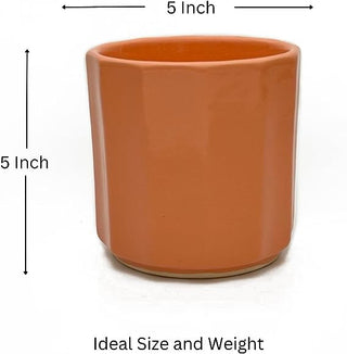 Small Ceramic Planter (Orange)