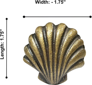 Beach Shell Brass Knobs (Set of 6)