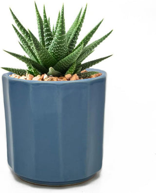 Small Ceramic Planter (Blue)
