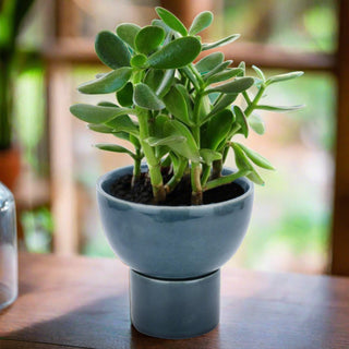 Blue Ceramic Planter Pot