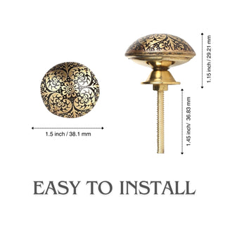 Black Bologna Brass Knobs (Set of 6)