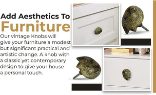 Sleeping Fox Brass Knobs (Set of 6)