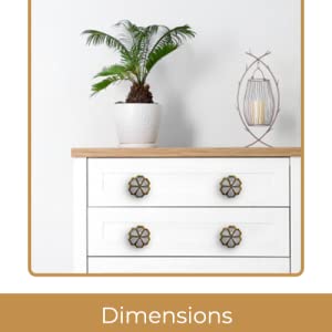 Eva Brass Knobs | Mother of Pearl (Set of 6)