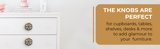 Eva Brass Knobs | Mother of Pearl (Set of 6)