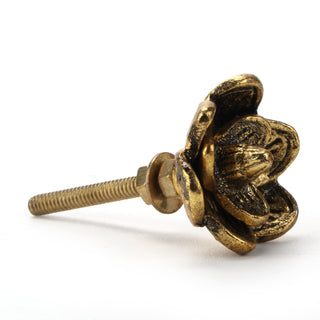 Set of 6 Gold Flower knob - Perilla Home