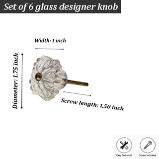 Glass Belle Knobs ( Clear) Set of 6