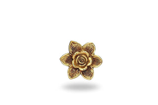 Antique Brass drawer Knobs - Perilla Home