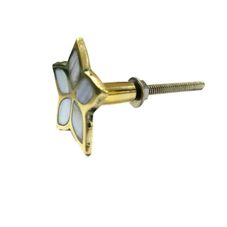 Set of 6 Jiya Mother of Pearl Knob - Perilla Home